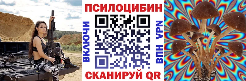 Псилоцибиновые грибы мицелий  купить наркотики цена  Пестово 